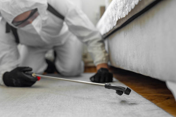 Professional Pest Control technician working in Gasconade County County, MO